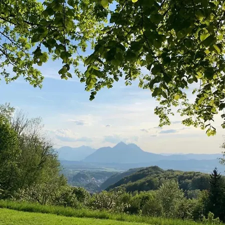 Ana Pansiyon Salzburg